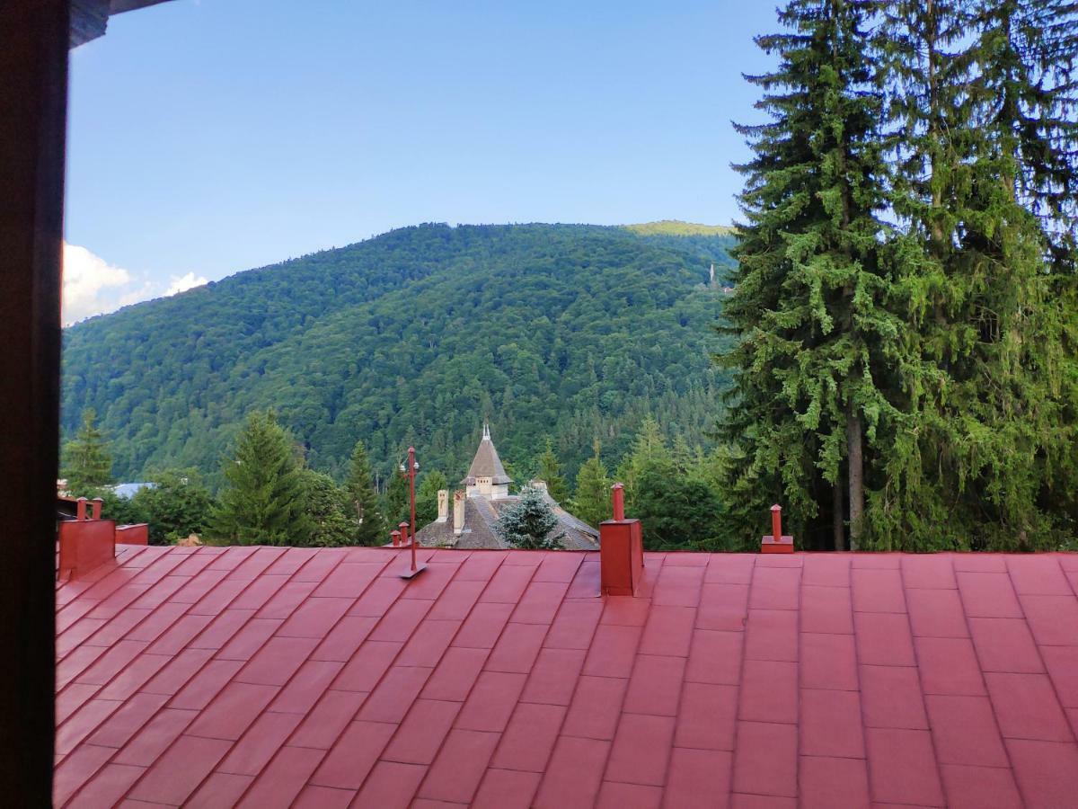 Cozy Loft At Teleferic Lejlighed Sinaia Eksteriør billede